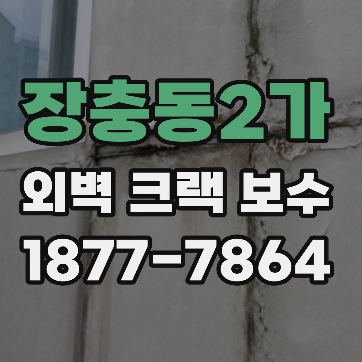 장충동2가 외벽 크랙 보수