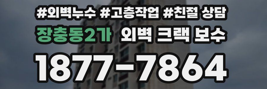 장충동2가 외벽 크랙 보수