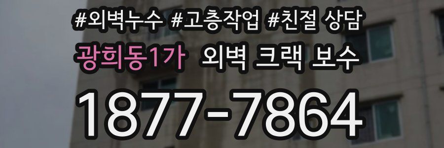 광희동1가 외벽 크랙 보수