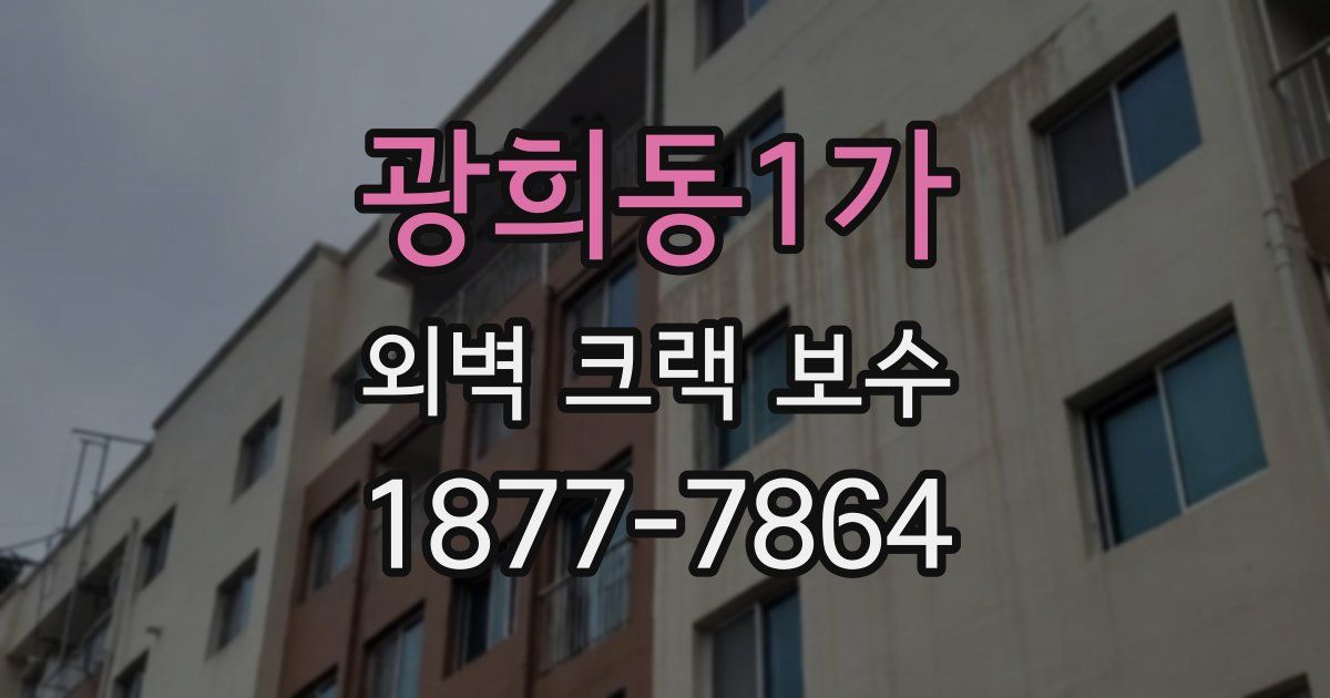 광희동1가 외벽 크랙 보수