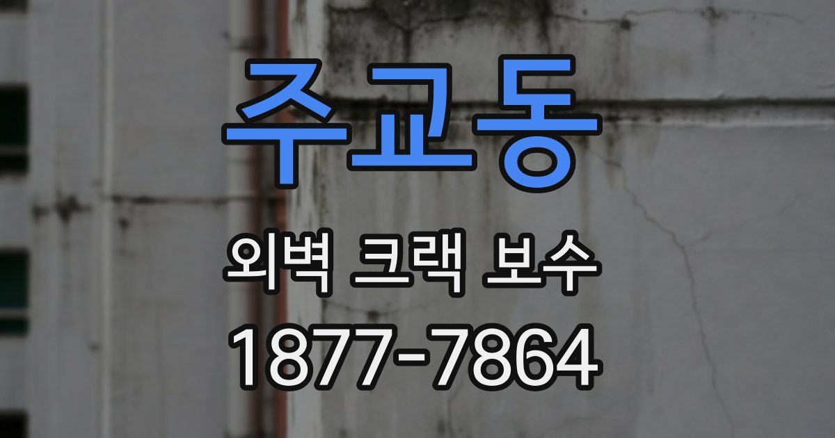 주교동 외벽 크랙 보수