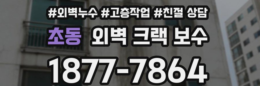 초동 외벽 크랙 보수