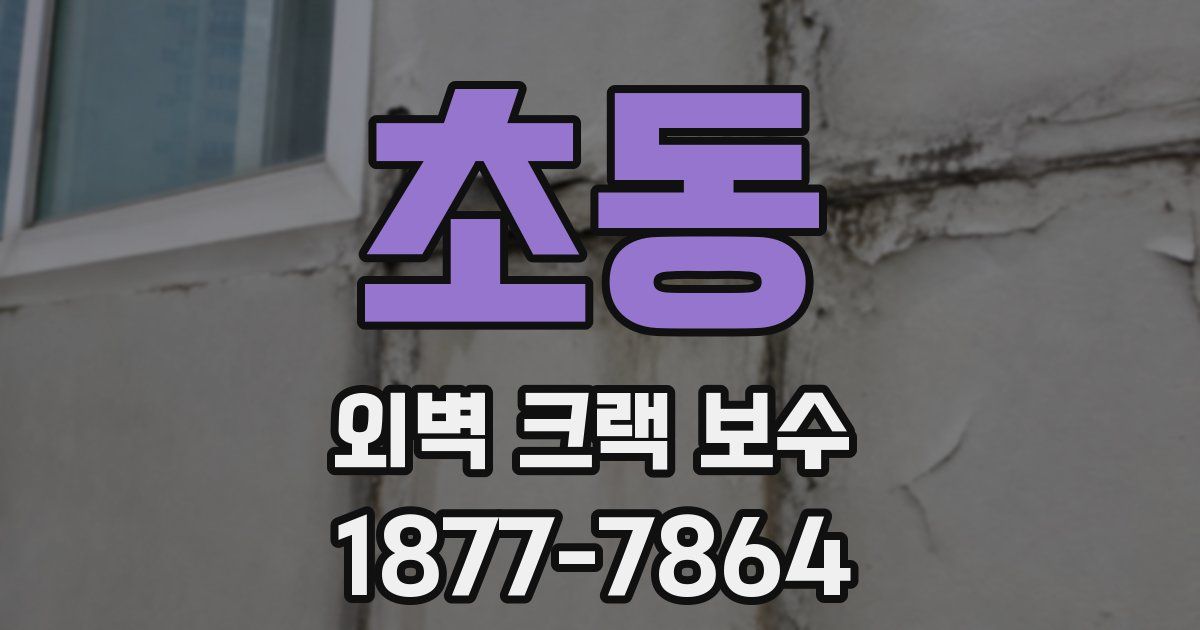 초동 외벽 크랙 보수