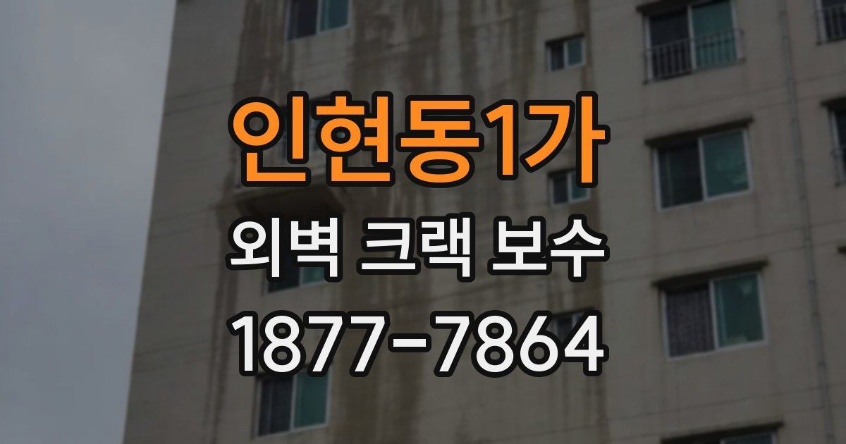 인현동1가 외벽 크랙 보수