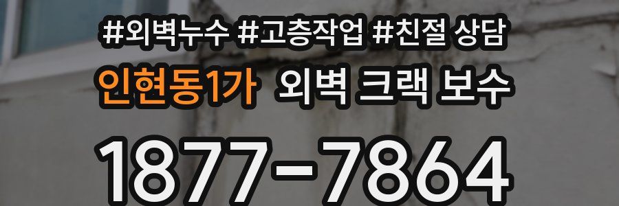 인현동1가 외벽 크랙 보수