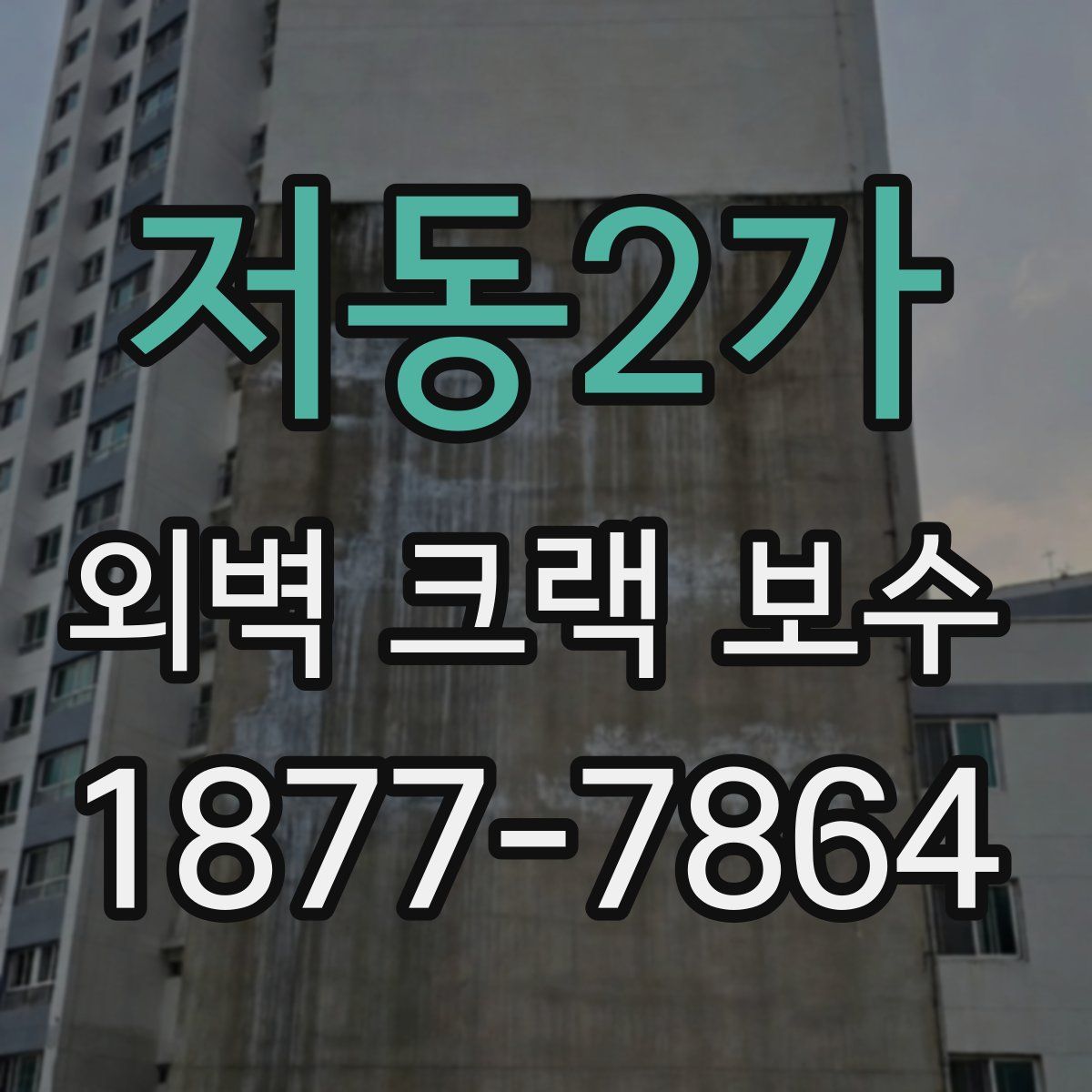저동2가 외벽 크랙 보수