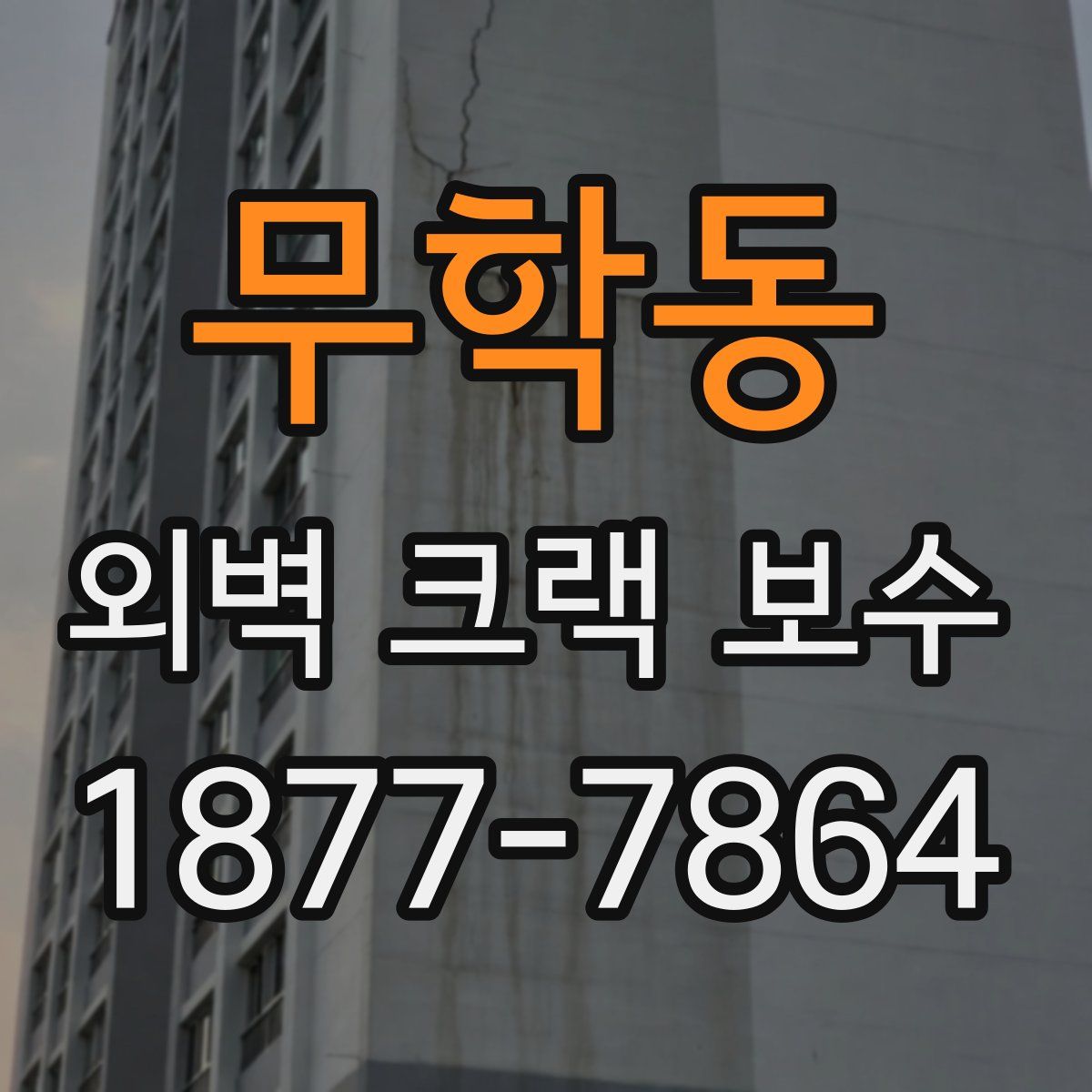 무학동 외벽 크랙 보수