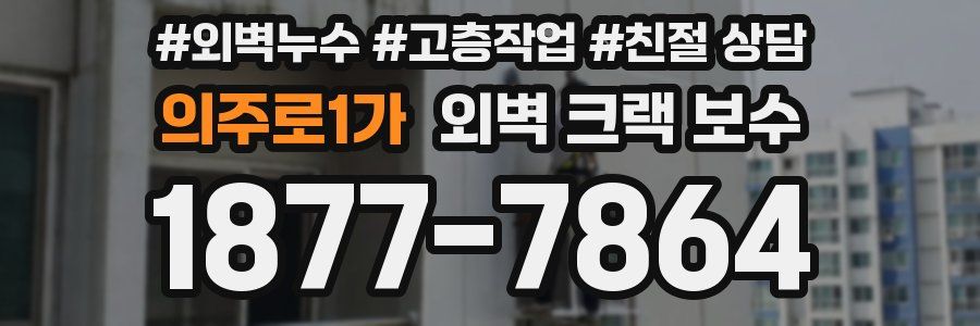 의주로1가 외벽 크랙 보수