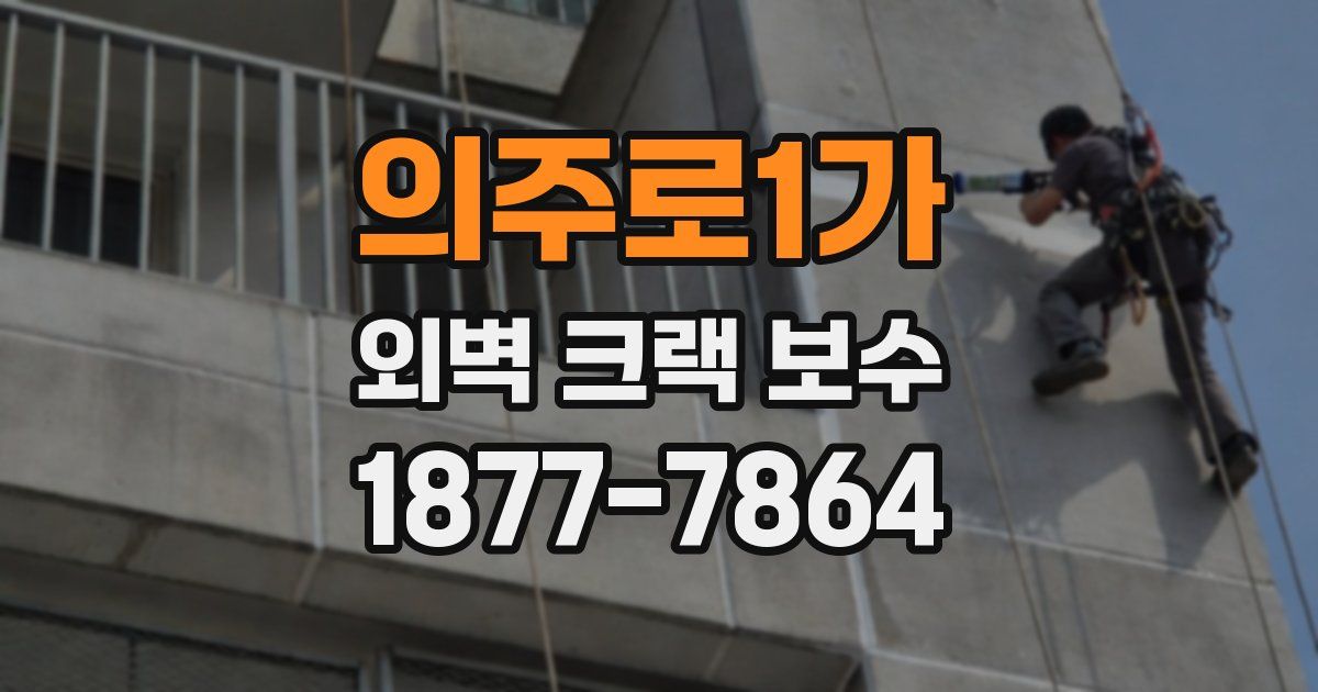 의주로1가 외벽 크랙 보수