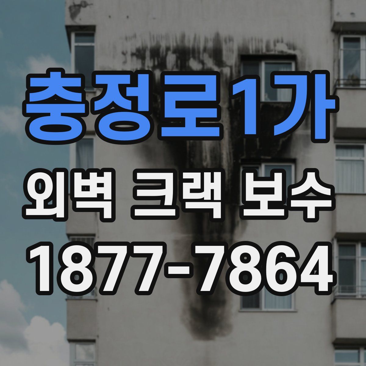 충정로1가 외벽 크랙 보수