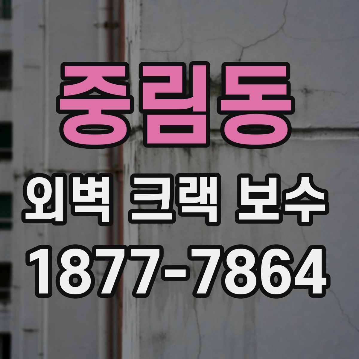 중림동 외벽 크랙 보수