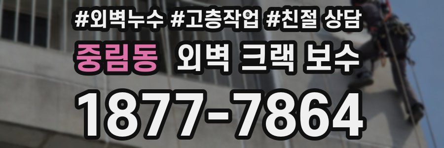 중림동 외벽 크랙 보수