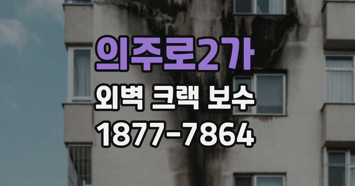 의주로2가 외벽 크랙 보수