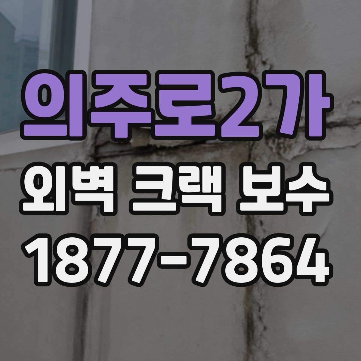 의주로2가 외벽 크랙 보수
