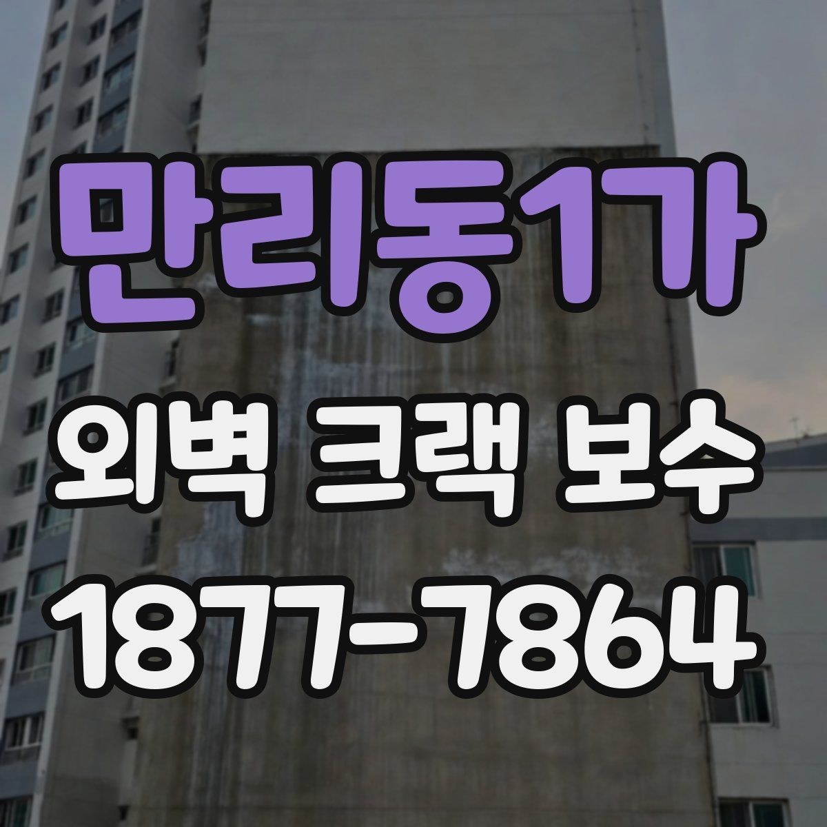 만리동1가 외벽 크랙 보수
