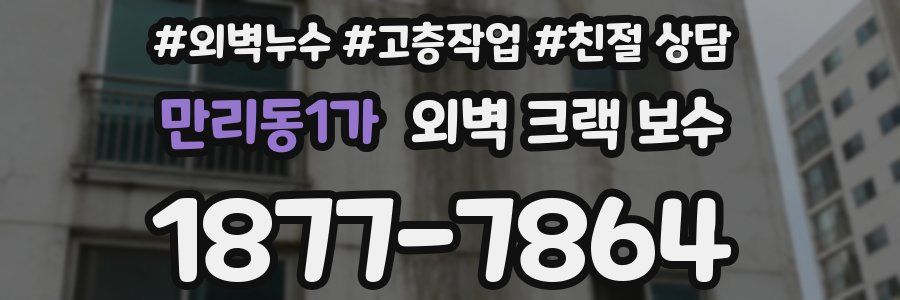 만리동1가 외벽 크랙 보수
