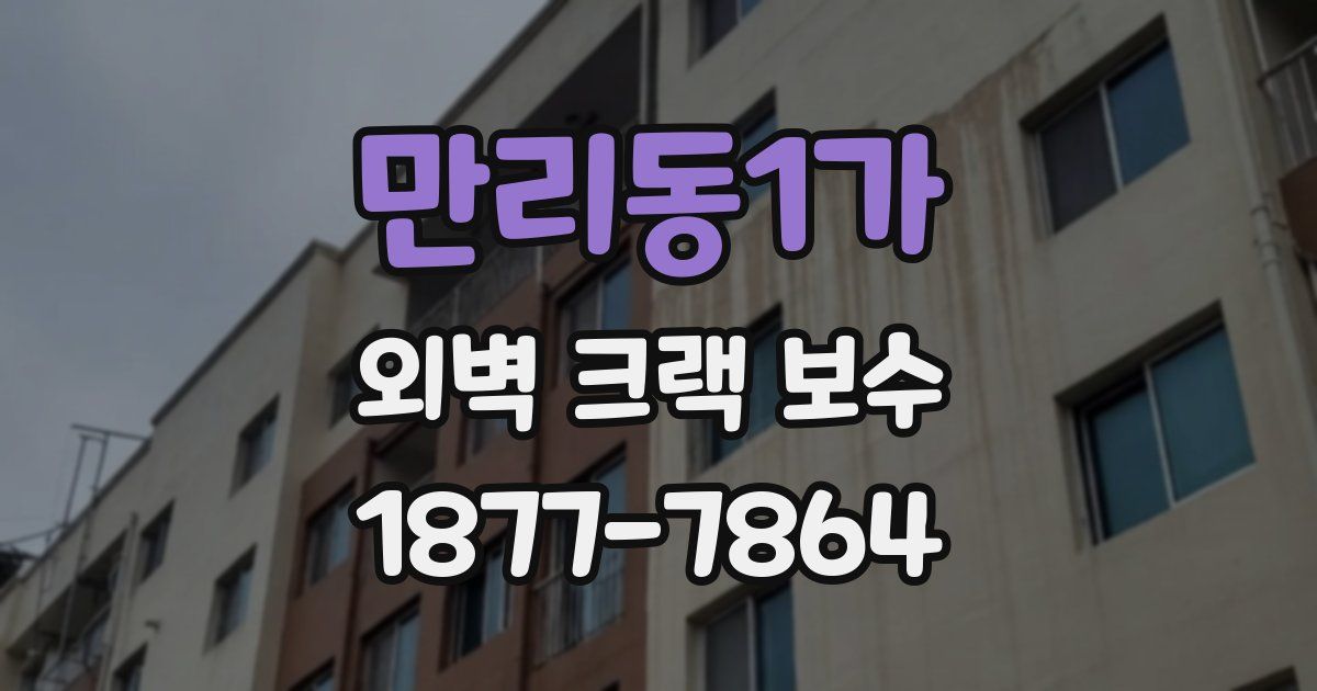 만리동1가 외벽 크랙 보수