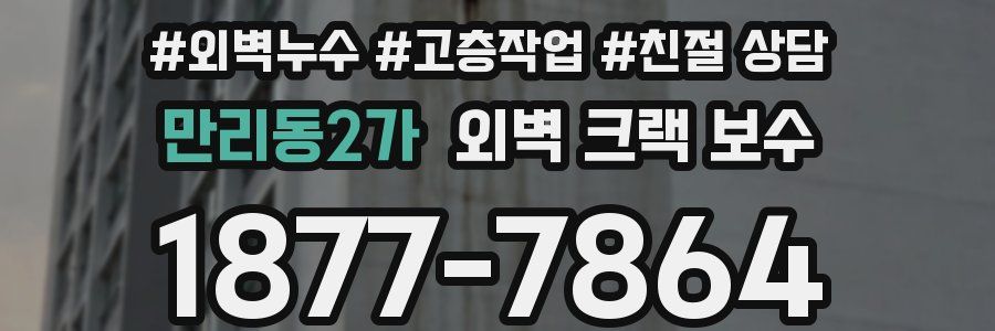 만리동2가 외벽 크랙 보수