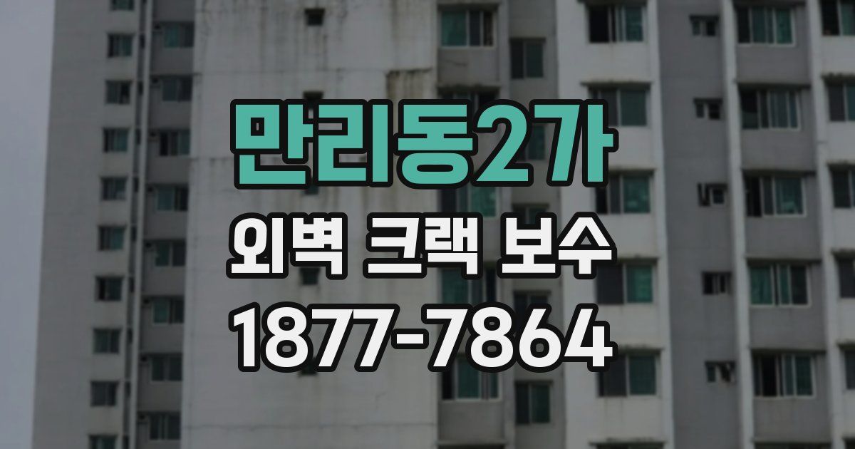 만리동2가 외벽 크랙 보수