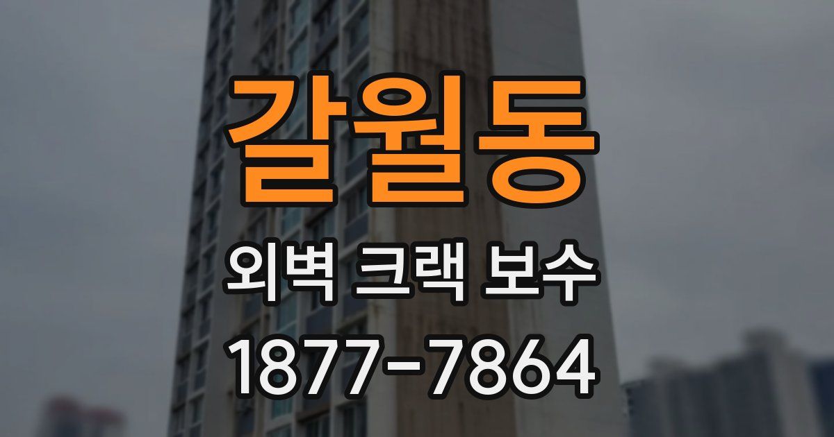 갈월동 외벽 크랙 보수
