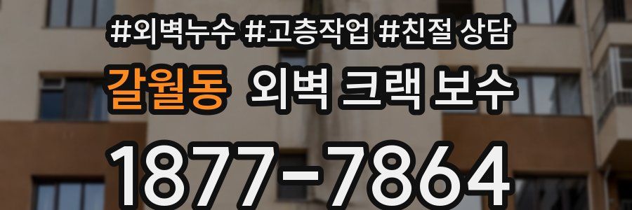 갈월동 외벽 크랙 보수