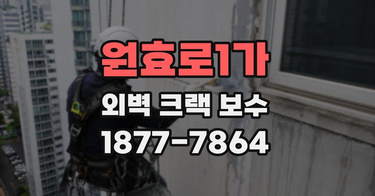 원효로1가 외벽 크랙 보수