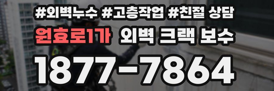 원효로1가 외벽 크랙 보수