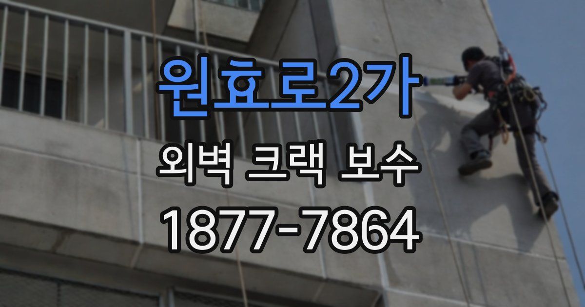 원효로2가 외벽 크랙 보수