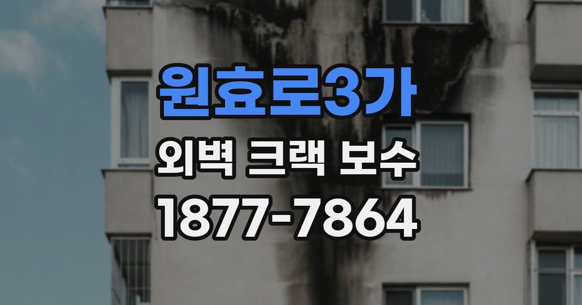 원효로3가 외벽 크랙 보수