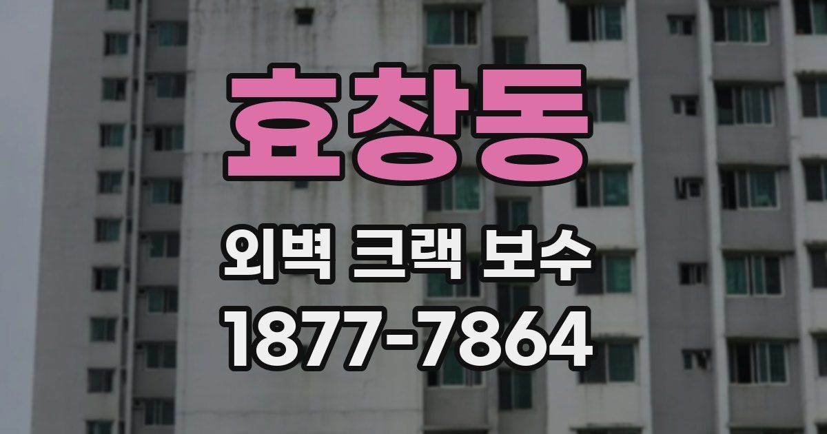 효창동 외벽 크랙 보수