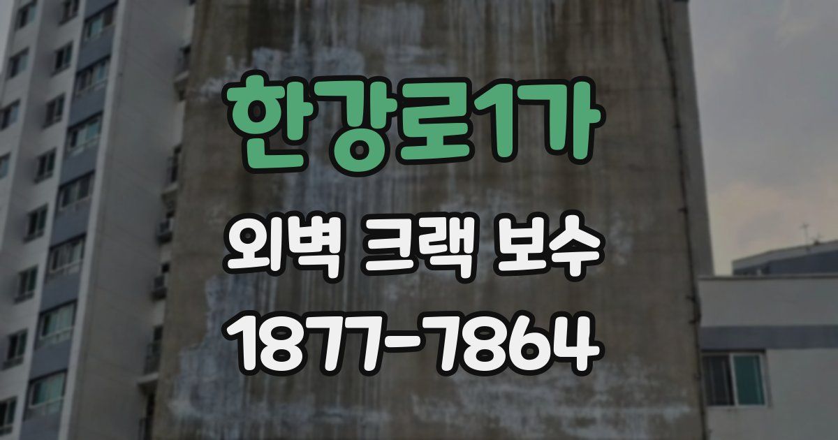 한강로1가 외벽 크랙 보수