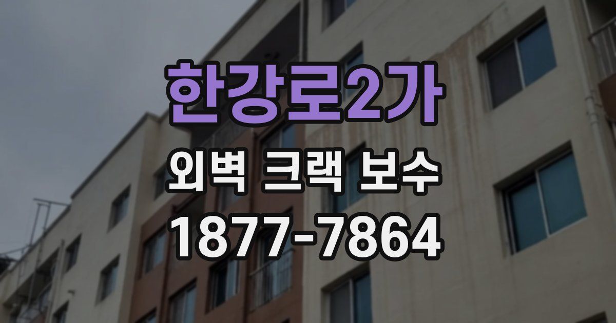 한강로2가 외벽 크랙 보수