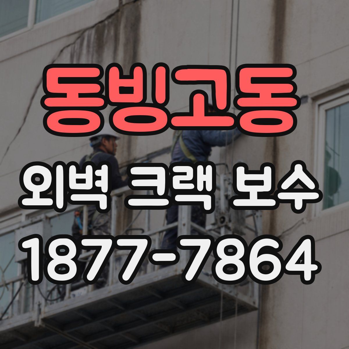 동빙고동 외벽 크랙 보수