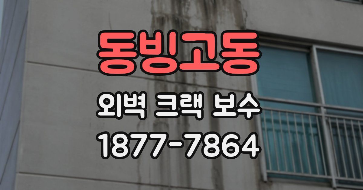 동빙고동 외벽 크랙 보수