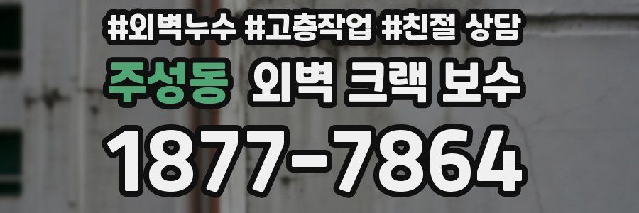 주성동 외벽 크랙 보수