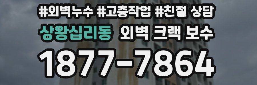 상왕십리동 외벽 크랙 보수