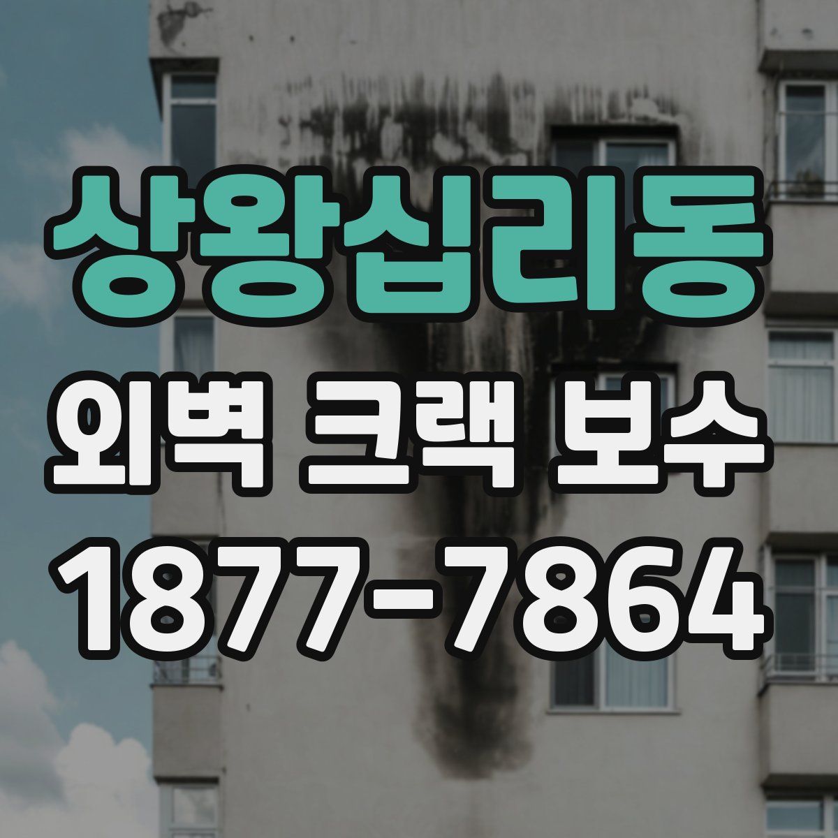 상왕십리동 외벽 크랙 보수
