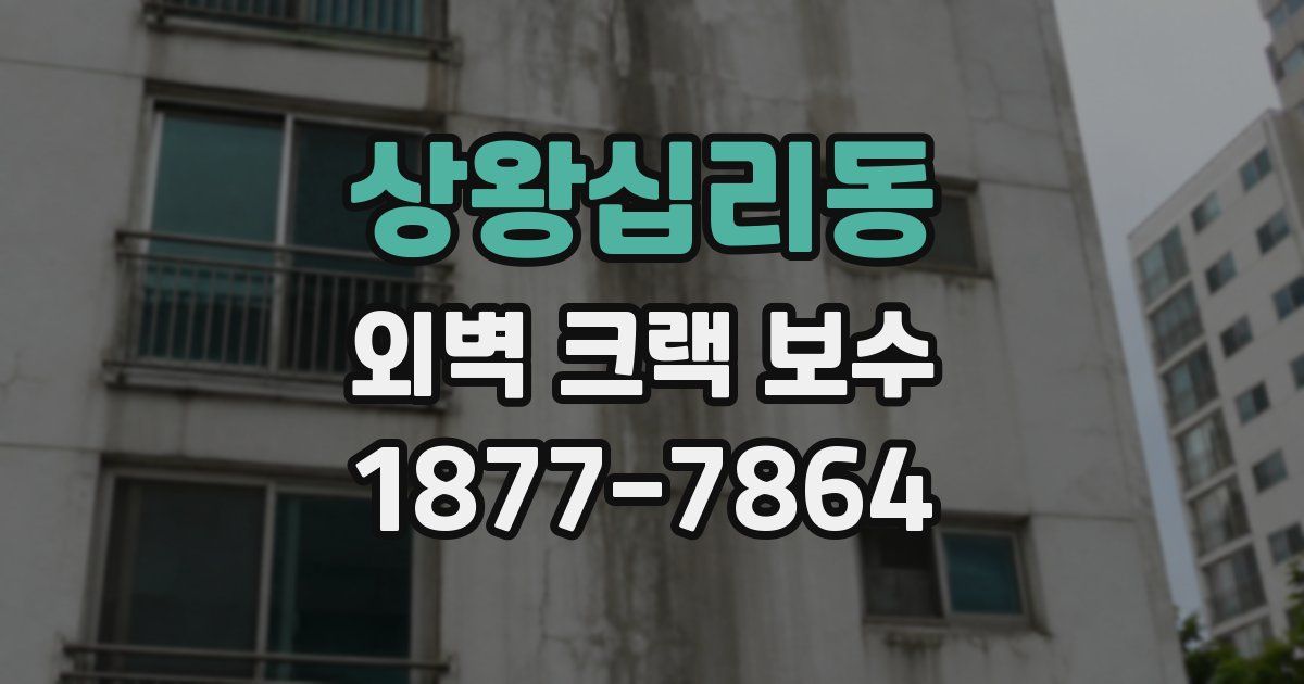 상왕십리동 외벽 크랙 보수