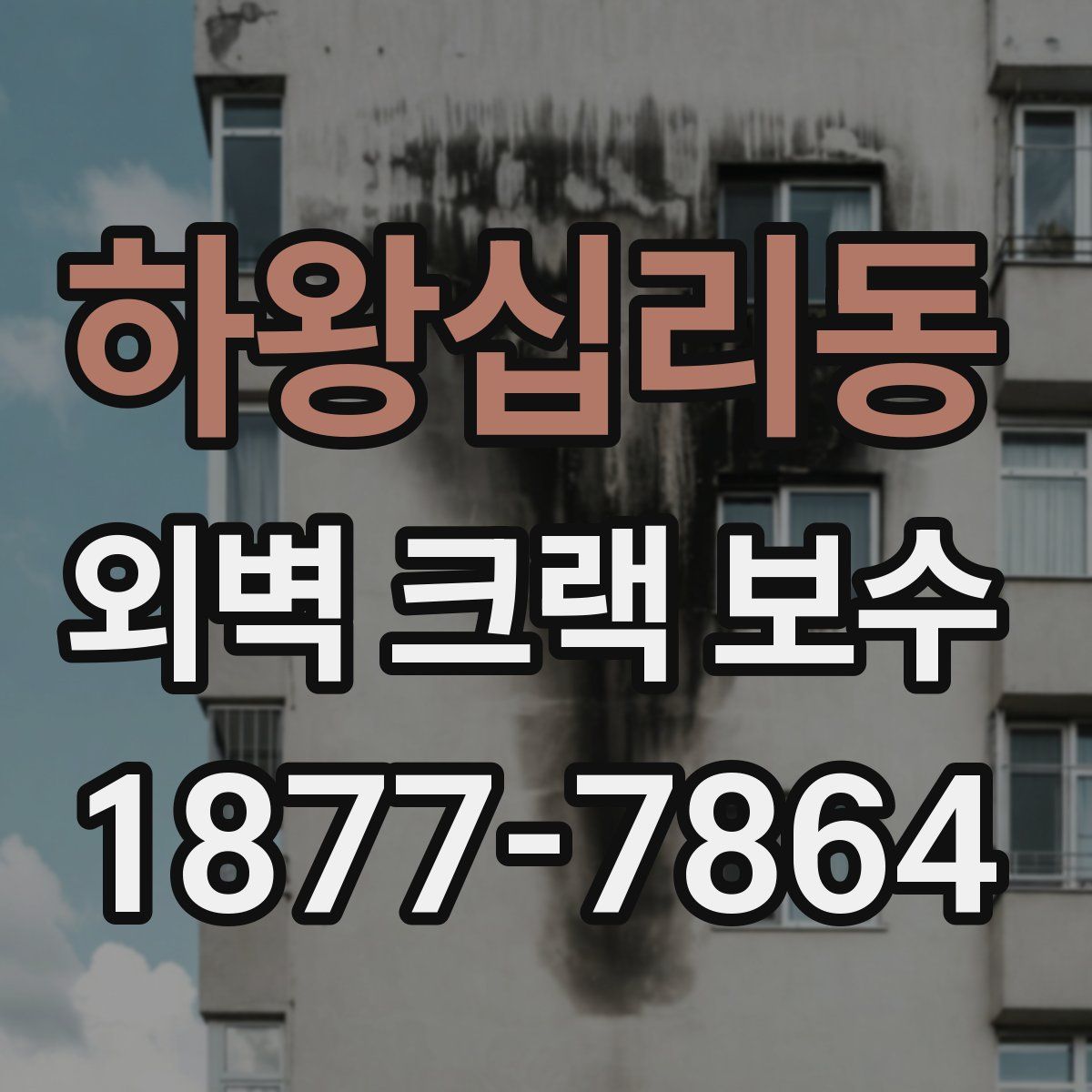 하왕십리동 외벽 크랙 보수