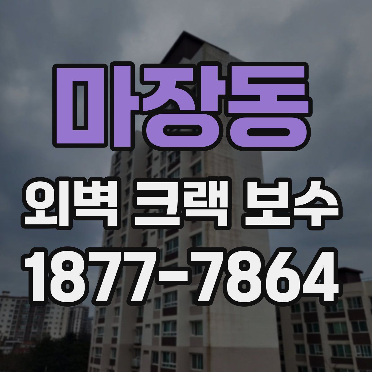 마장동 외벽 크랙 보수