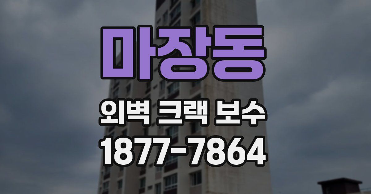 마장동 외벽 크랙 보수