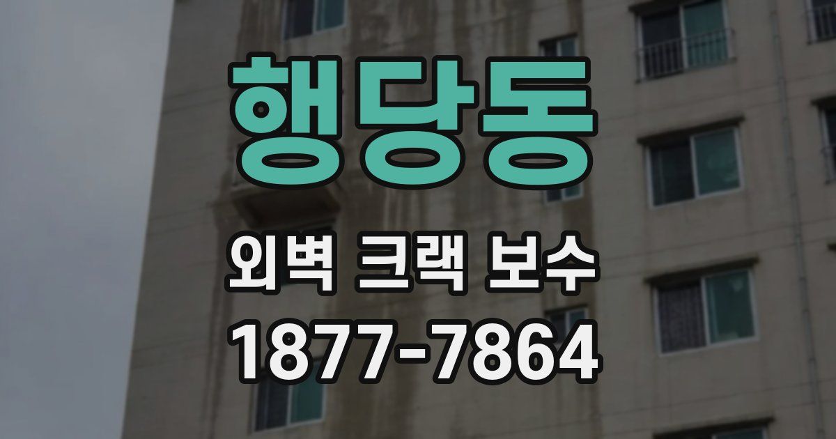 행당동 외벽 크랙 보수