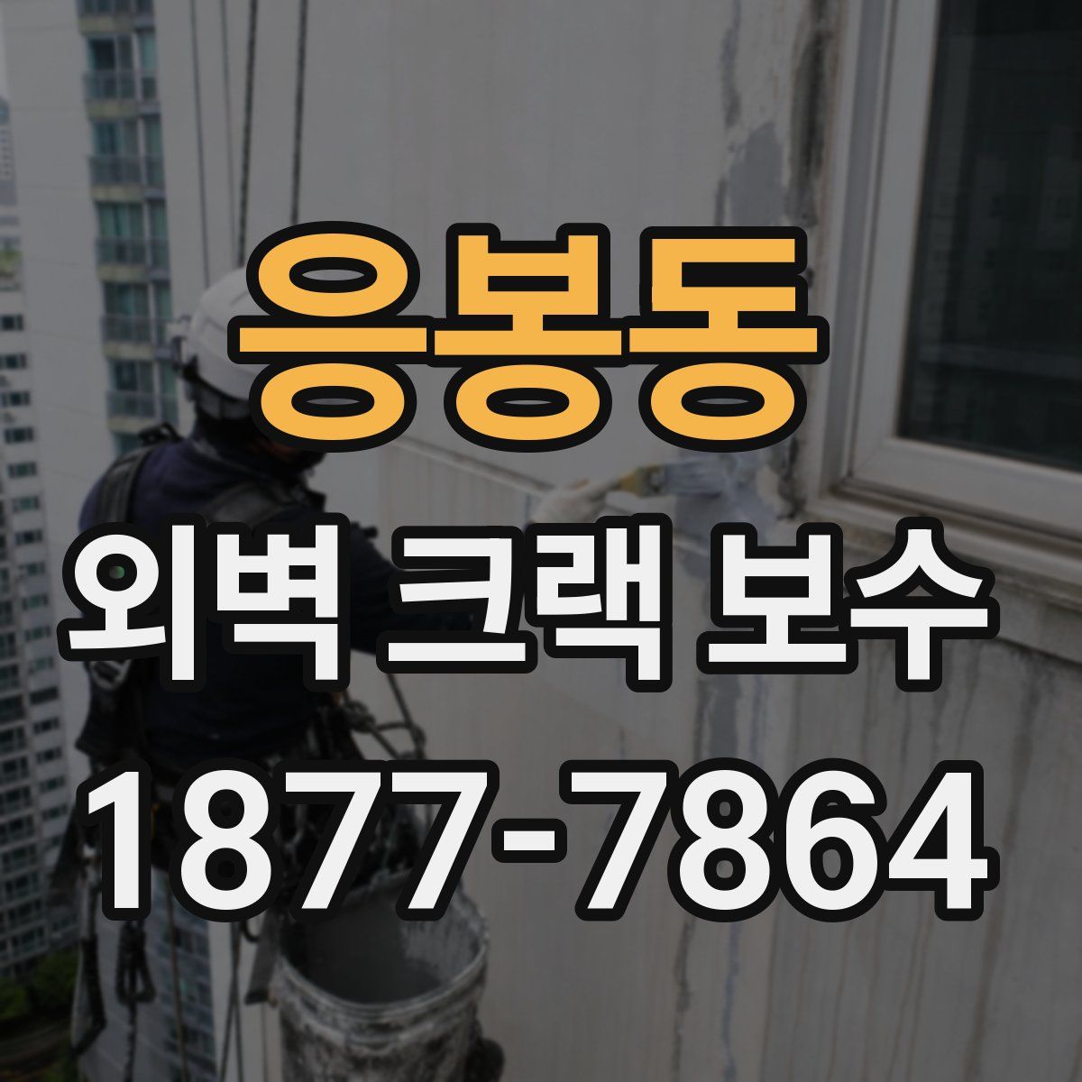 응봉동 외벽 크랙 보수