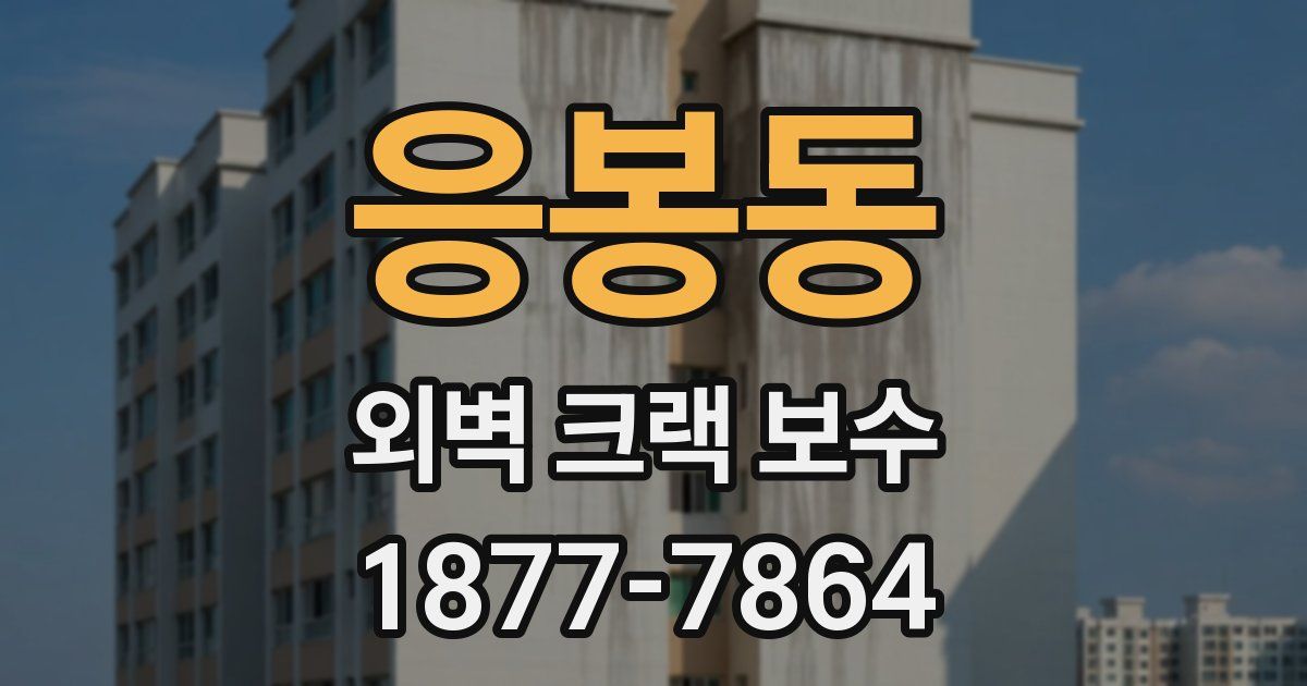 응봉동 외벽 크랙 보수