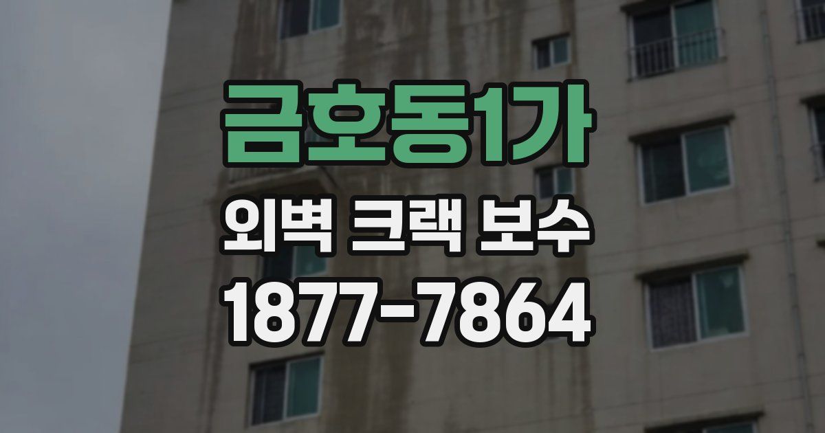 금호동1가 외벽 크랙 보수