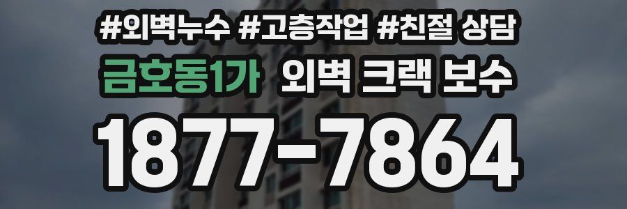 금호동1가 외벽 크랙 보수