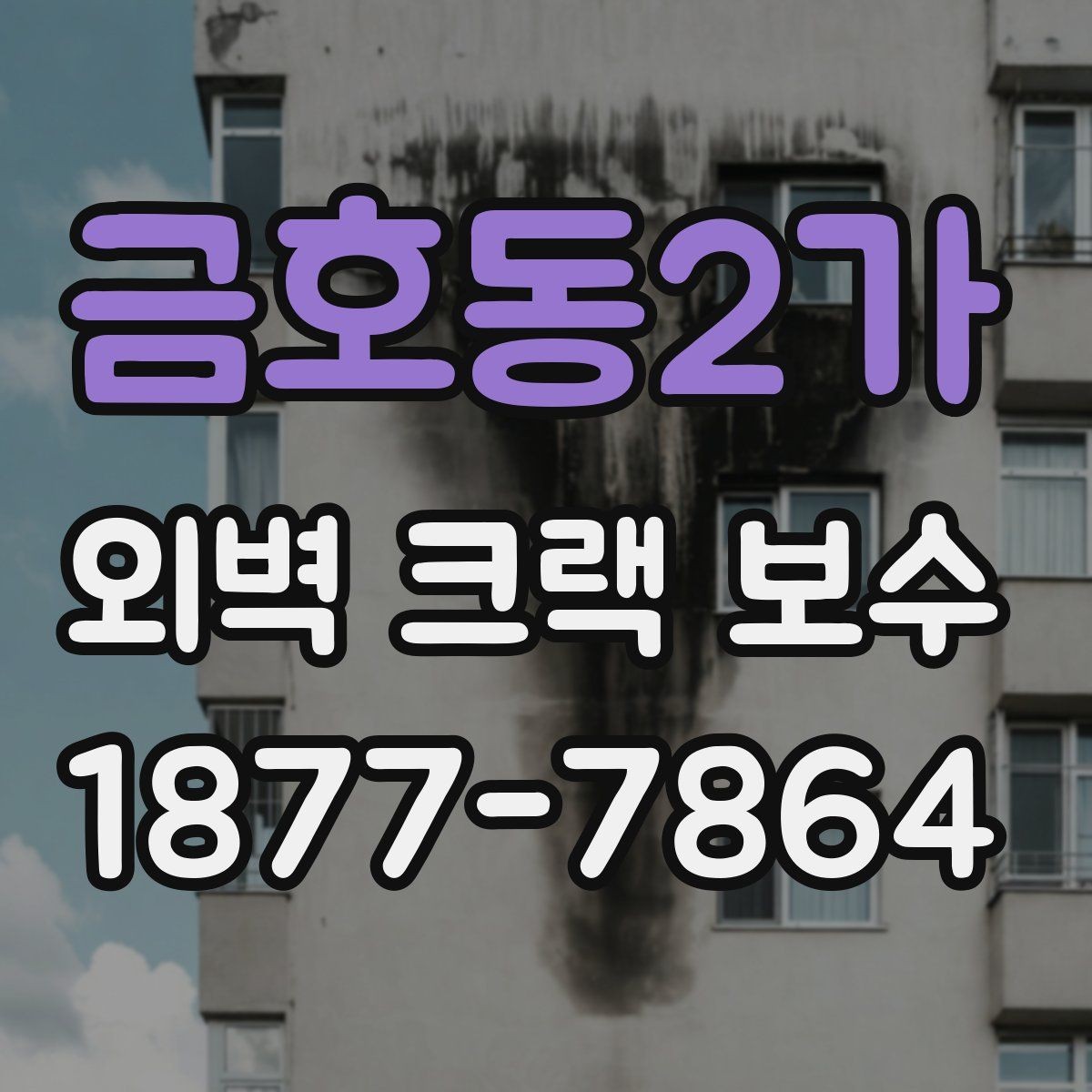금호동2가 외벽 크랙 보수 현장 사례로 보는 주의점