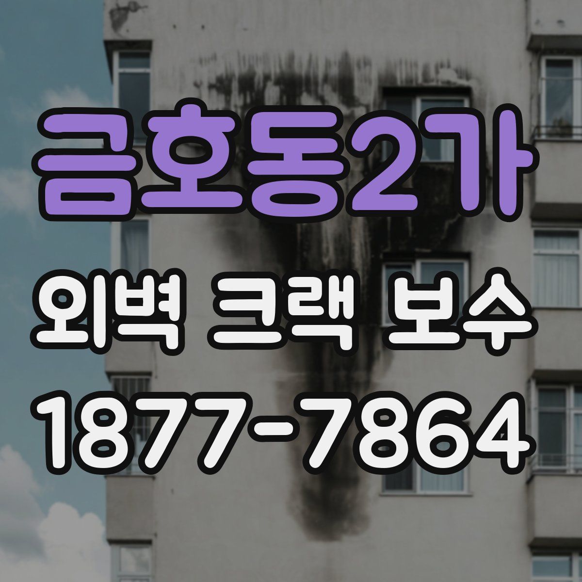 금호동2가 외벽 크랙 보수