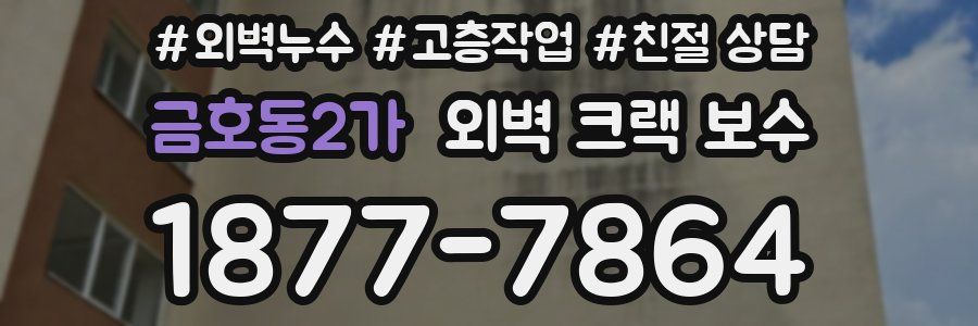 금호동2가 외벽 크랙 보수