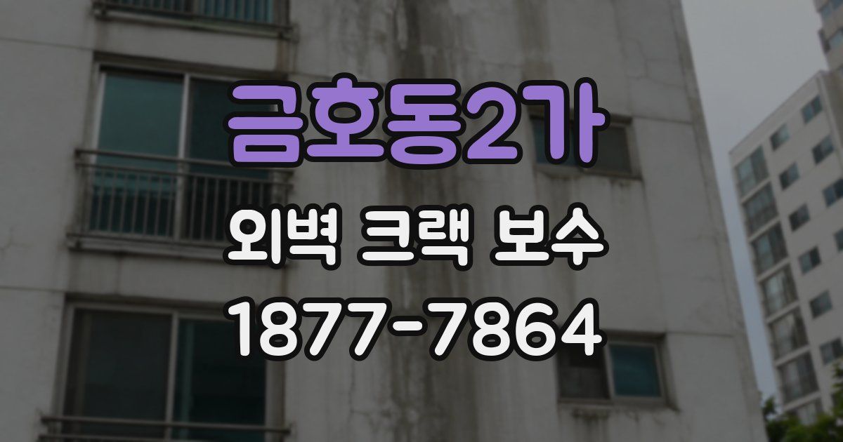 금호동2가 외벽 크랙 보수